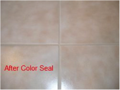 grout color sealing charlotte