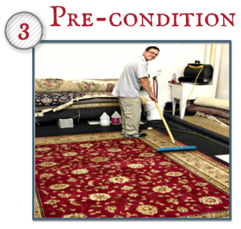 Depending on fiber content and soiling type, the rug will be pre-treated to emulsify the soils.